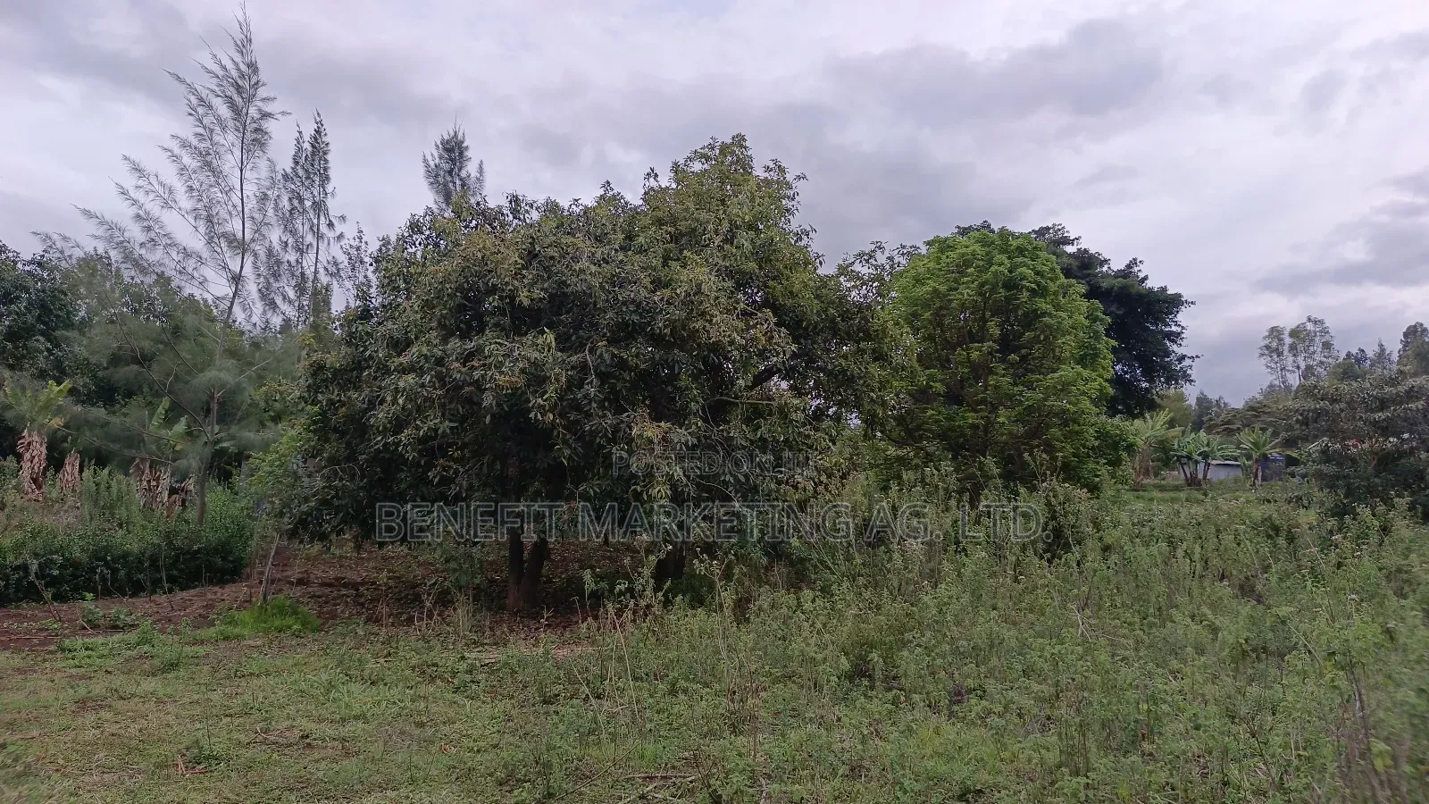 50*100 Plot for Sale in Ngong Kahara Road Near Kiserian in Ngong