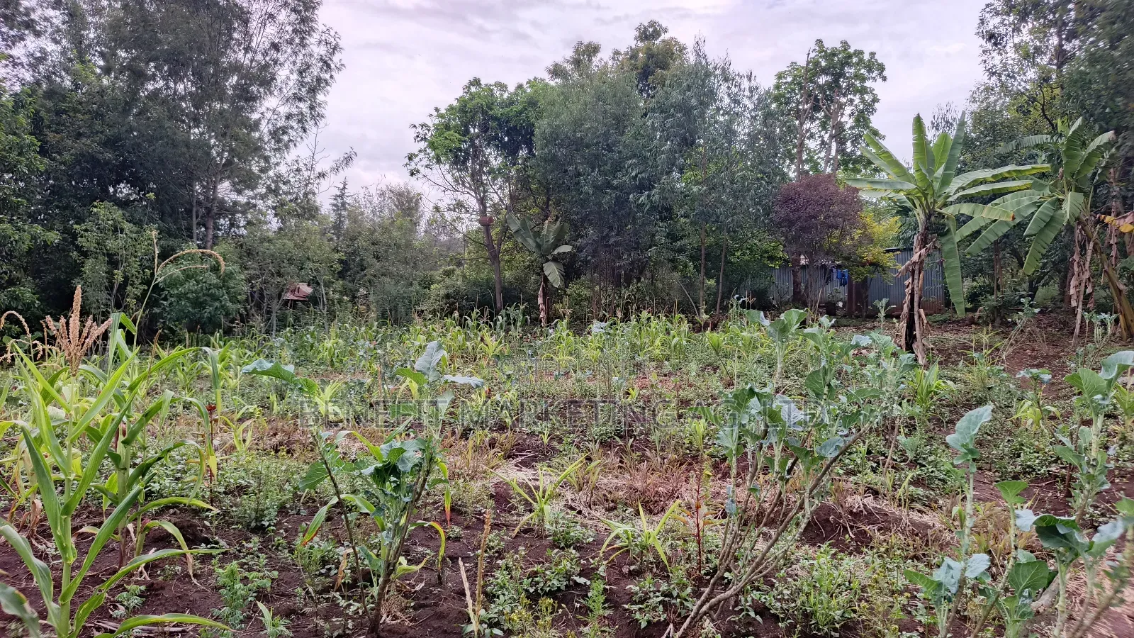 50*100 Plot for Sale in Ngong Kahara Road Near Kiserian in Ngong