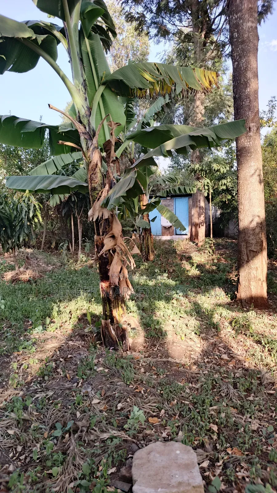 4bdrm Bungalow in Ngong for sale in Ngong