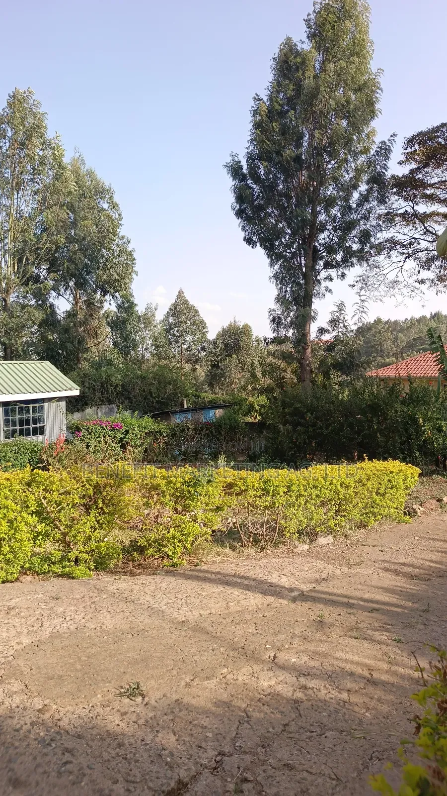 4bdrm Bungalow in Ngong for sale in Ngong