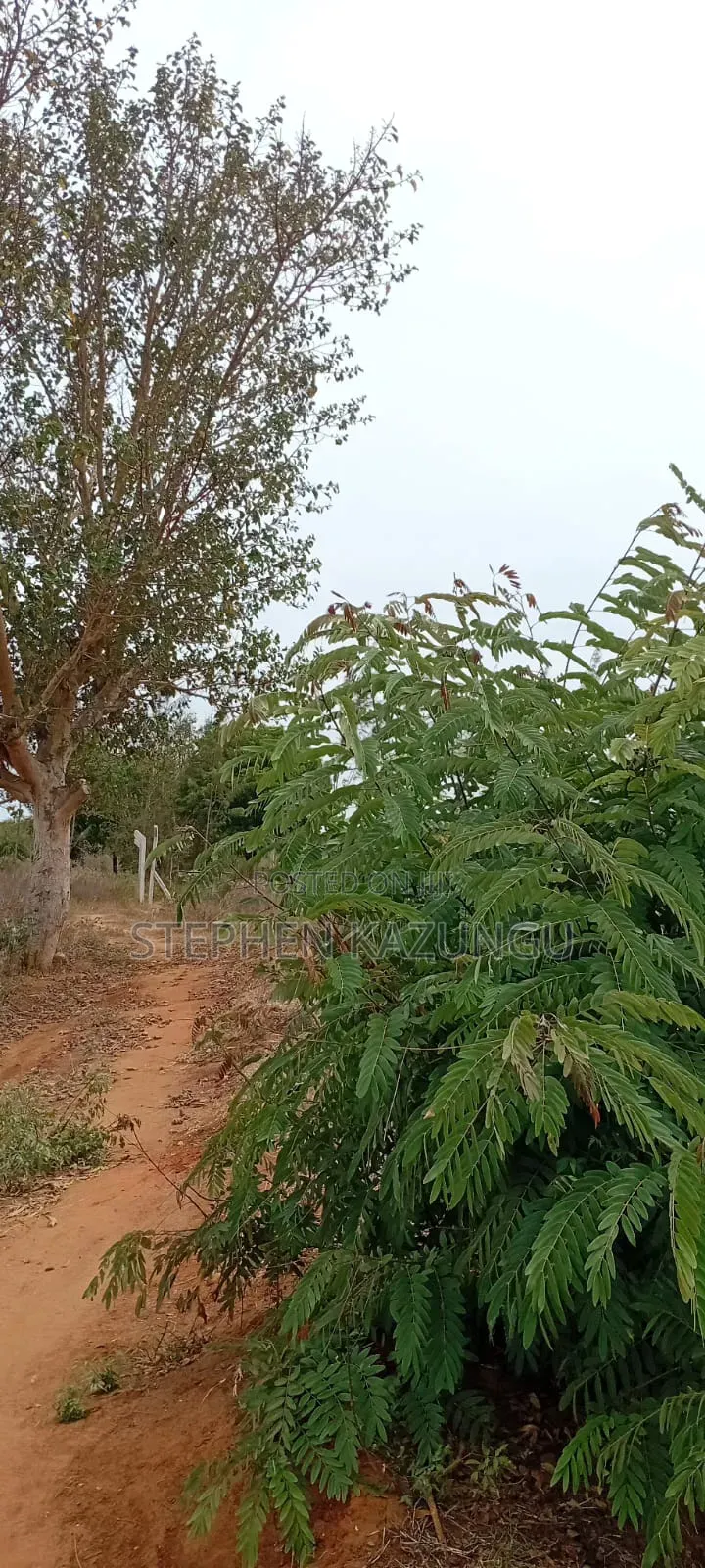 1/4 Acre Plot On Sale At Kinondo Town, Opposite Kinondo Hospital. in Ukunda
