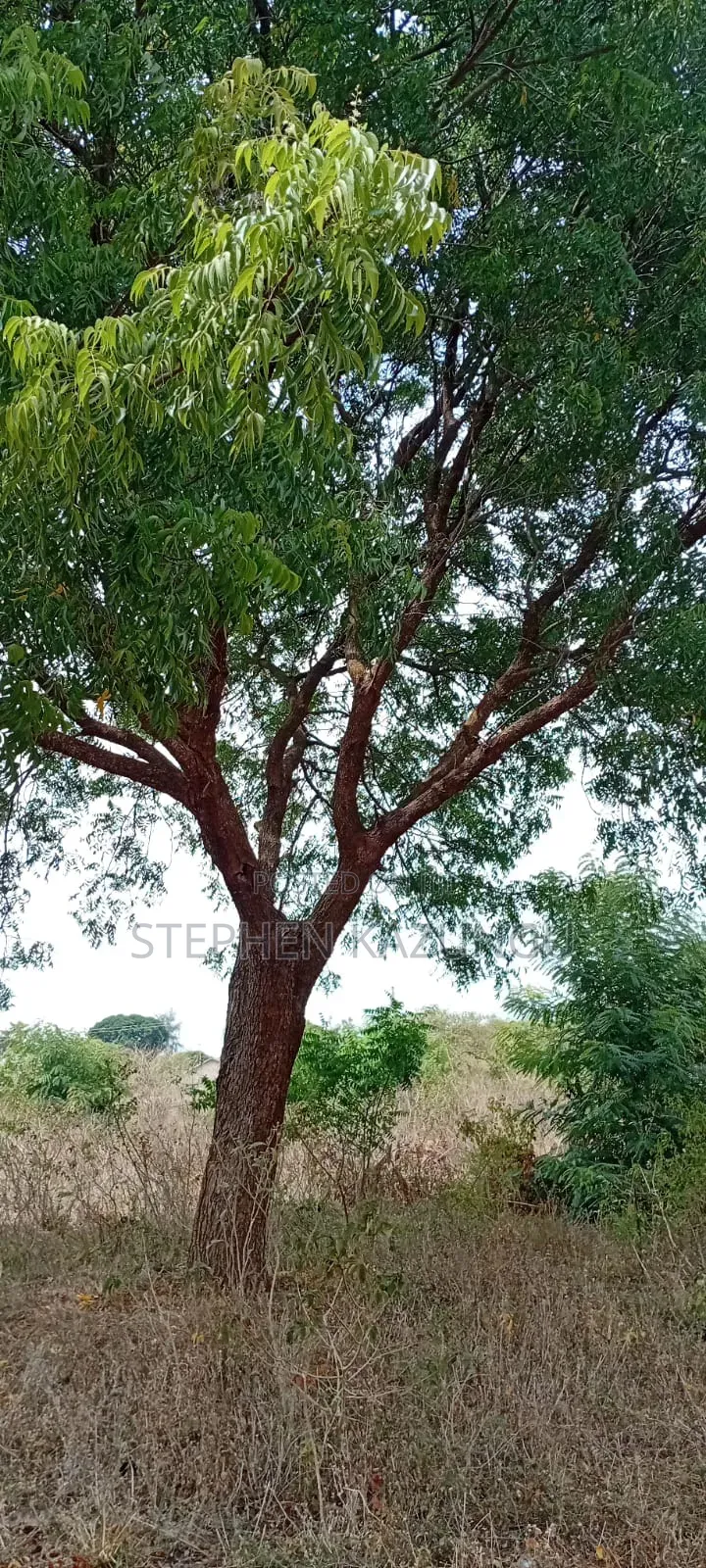 1/4 Acre Plot On Sale At Kinondo Town, Opposite Kinondo Hospital. in Ukunda