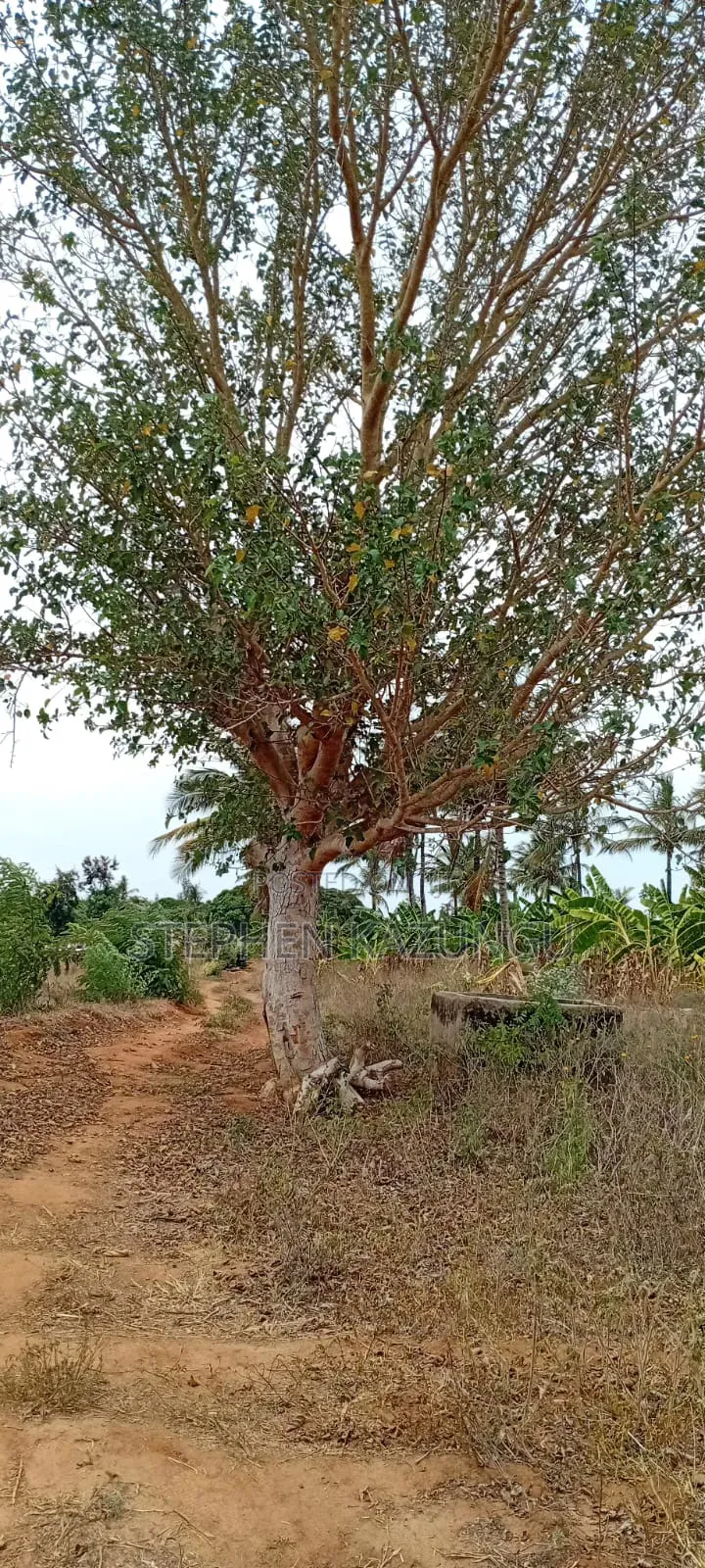 1/4 Acre Plot On Sale At Kinondo Town, Opposite Kinondo Hospital. in Ukunda