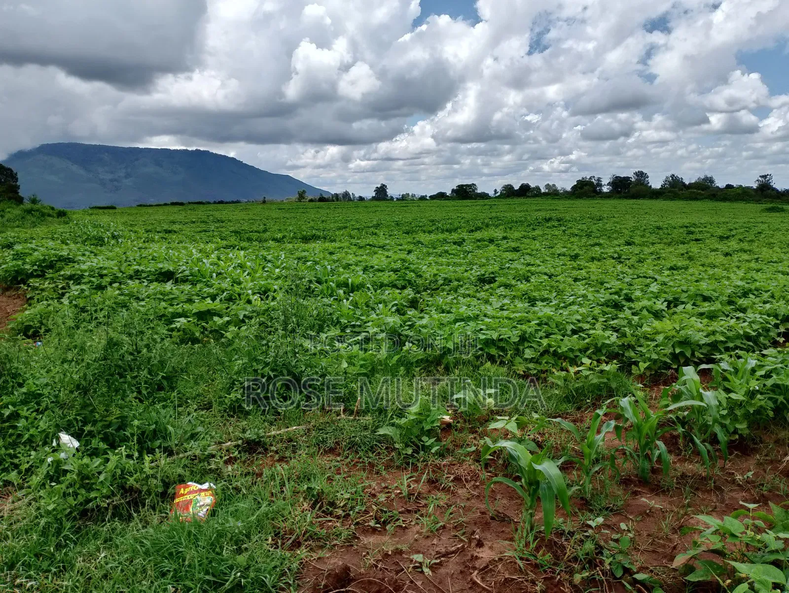 6acres at Matingi in Tala