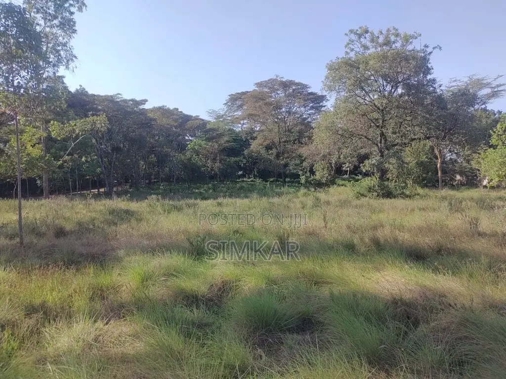 1-Acre Plots for Sale in a Gated Community in Karen in Karen C