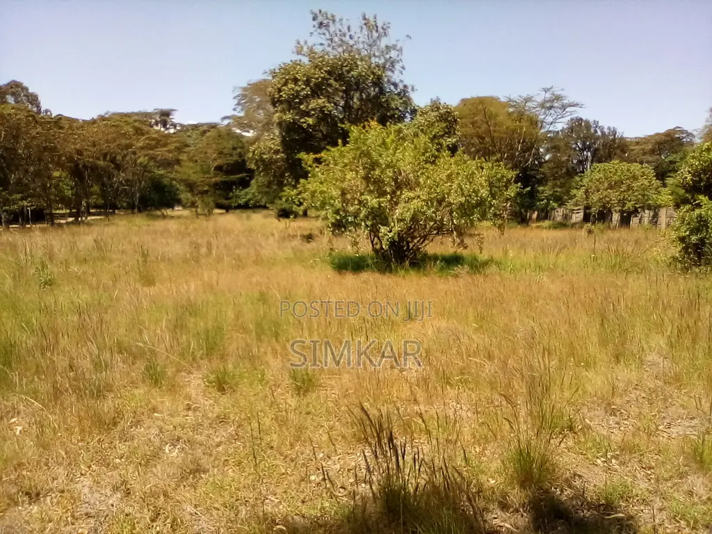 1-Acre Plots for Sale in a Gated Community in Karen in Karen C