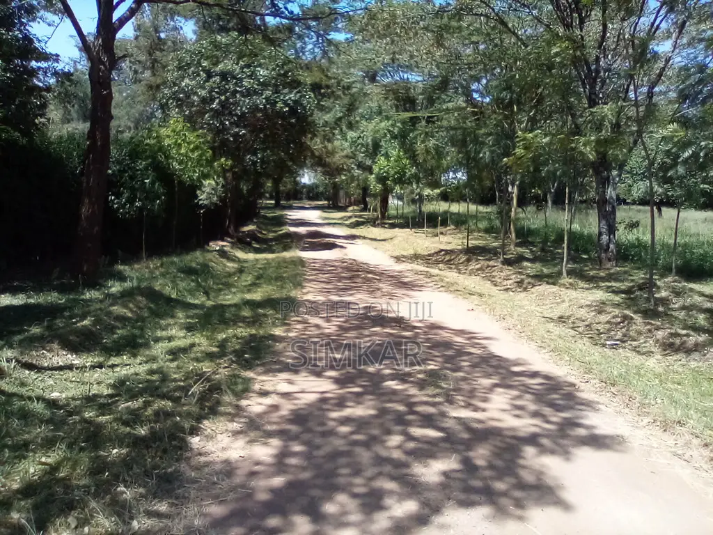 1-Acre Plots for Sale in a Gated Community in Karen in Karen C