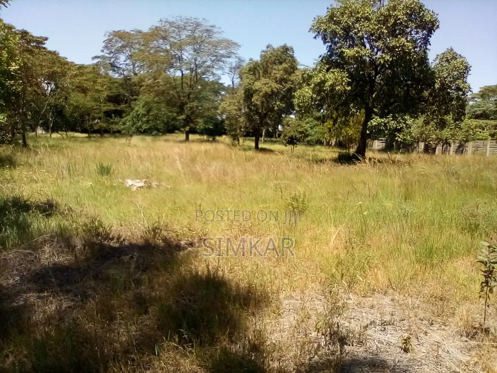 1-Acre Plots for Sale in a Gated Community in Karen in Karen C