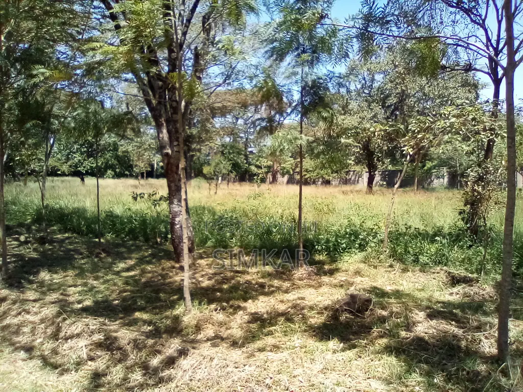 1-Acre Plots for Sale in a Gated Community in Karen in Karen C