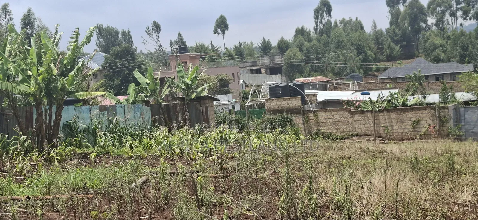 0.045 Ha in Kikuyu Rose Gate in Kikuyu