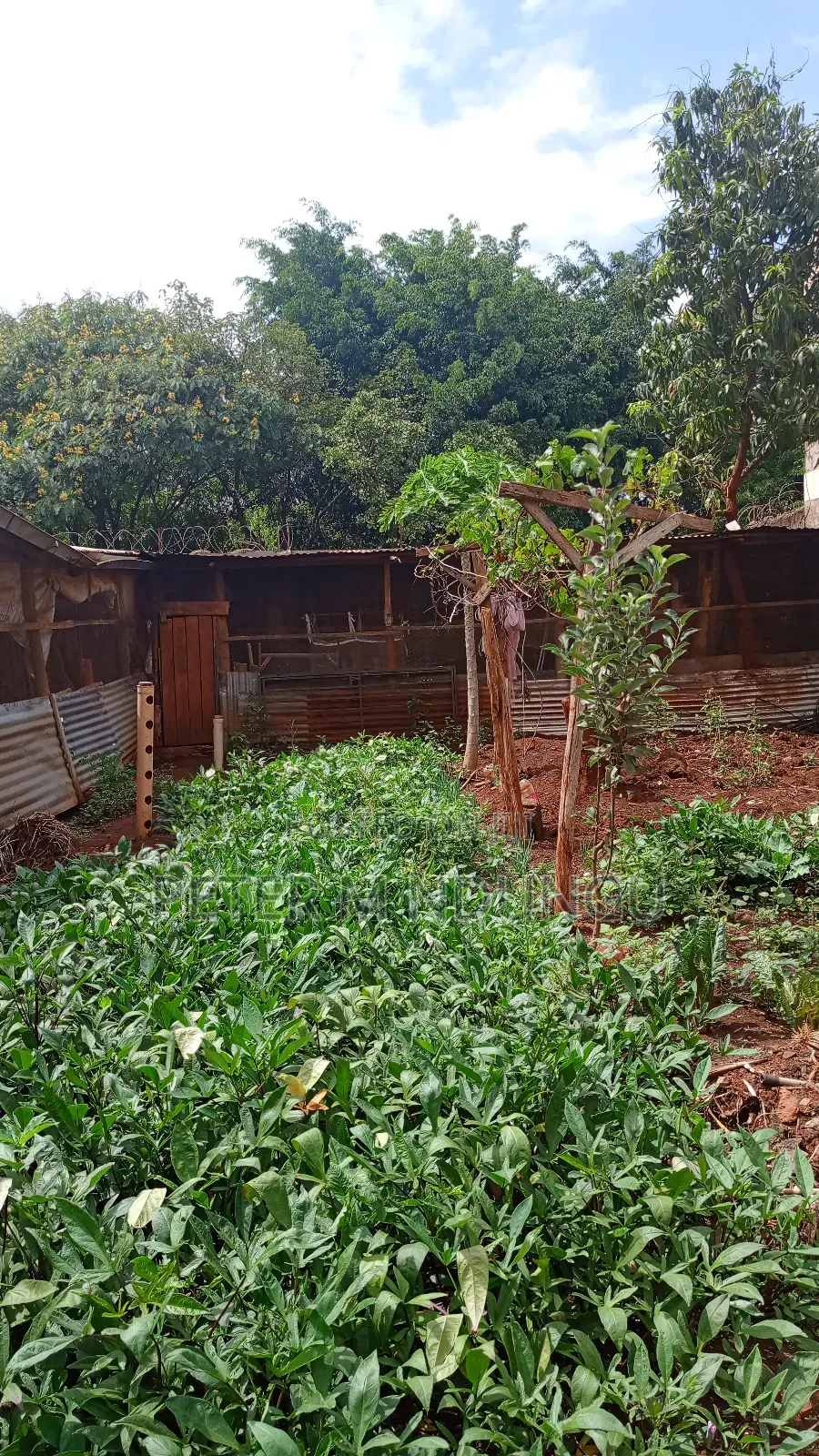 Kenyatta Road-Prime Residential Plot 40*80, Gated Community in Kenyatta Road / Theta