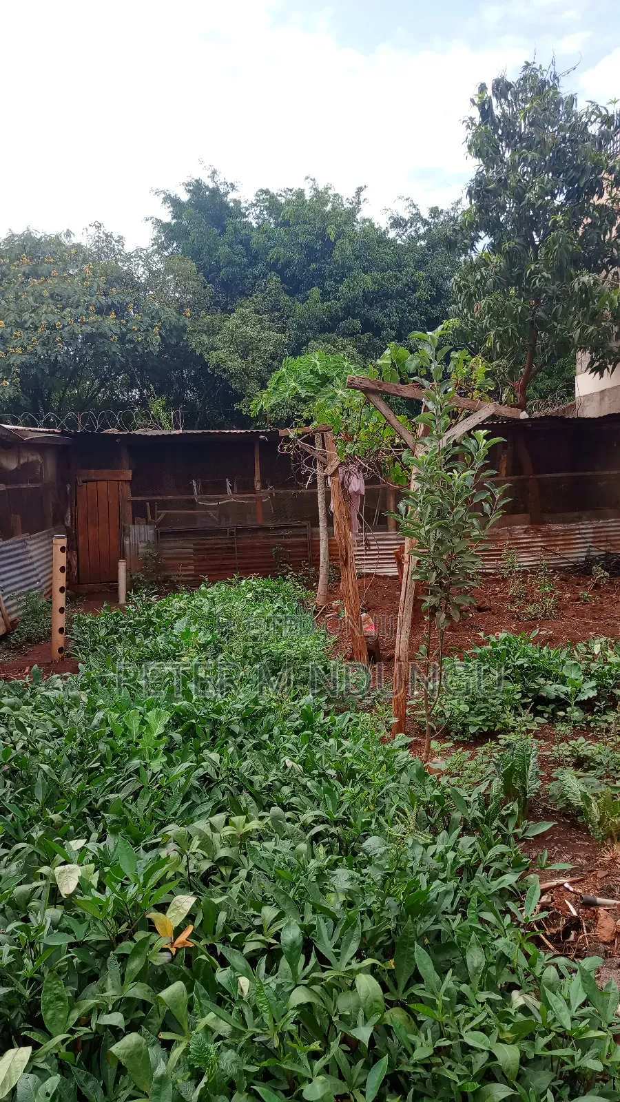 Kenyatta Road-Prime Residential Plot 40*80, Gated Community in Kenyatta Road / Theta