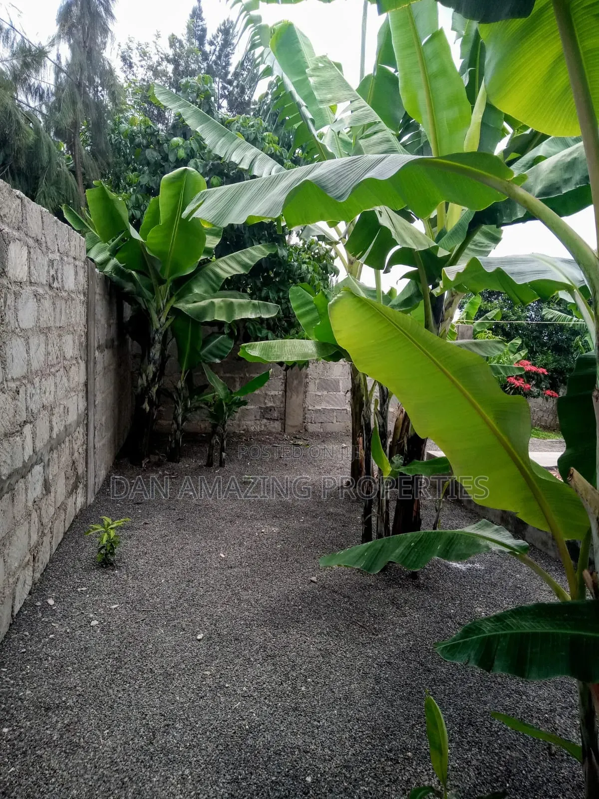 3bdrm Bungalow in Kaurrai, Matasia for sale in Matasia
