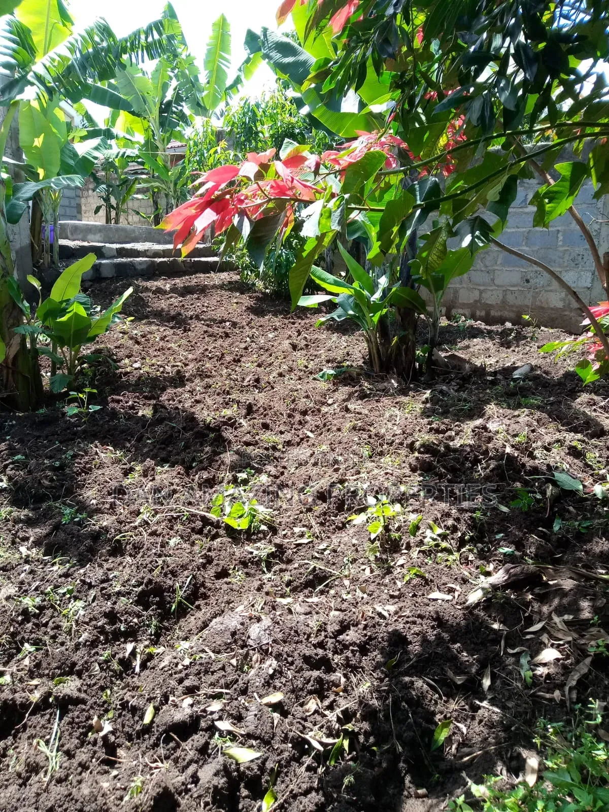 3bdrm Bungalow in Kaurrai, Matasia for sale in Matasia