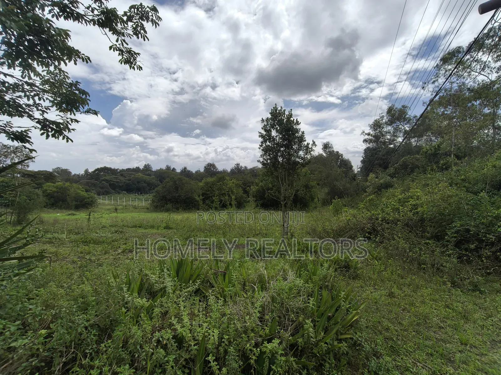 One Acre Piece of Land for Sale in Karen, Nairobi, Touching Tarmac in Karen C