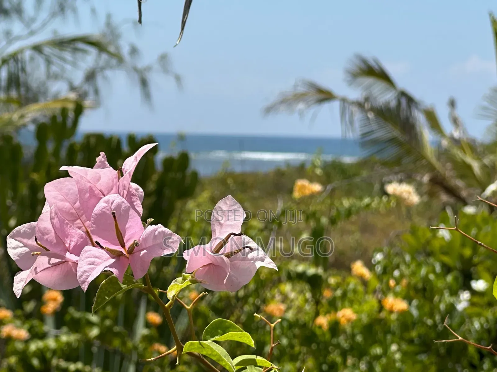 Lamu Prime 512 Acres Fronting the Ocean in Bahari