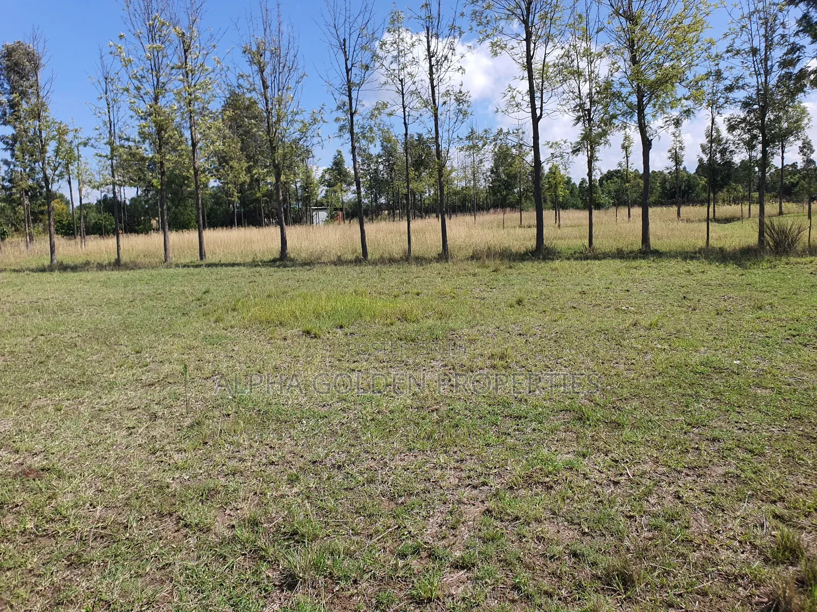 1 Acre Behind Nanyuki Airstrip in Nanyuki