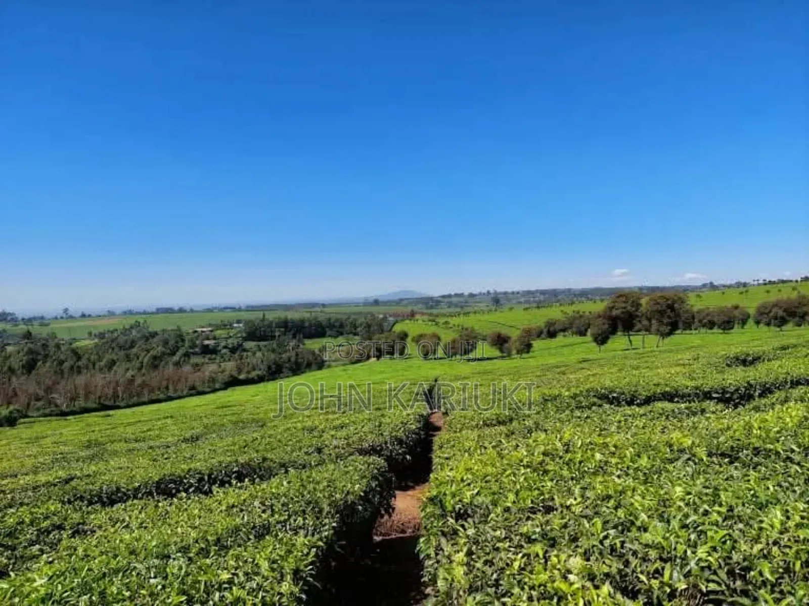 64 Acres Touching Tarmac Ndumberi Limuru Rd at 20m Per Acre in Ndumberi
