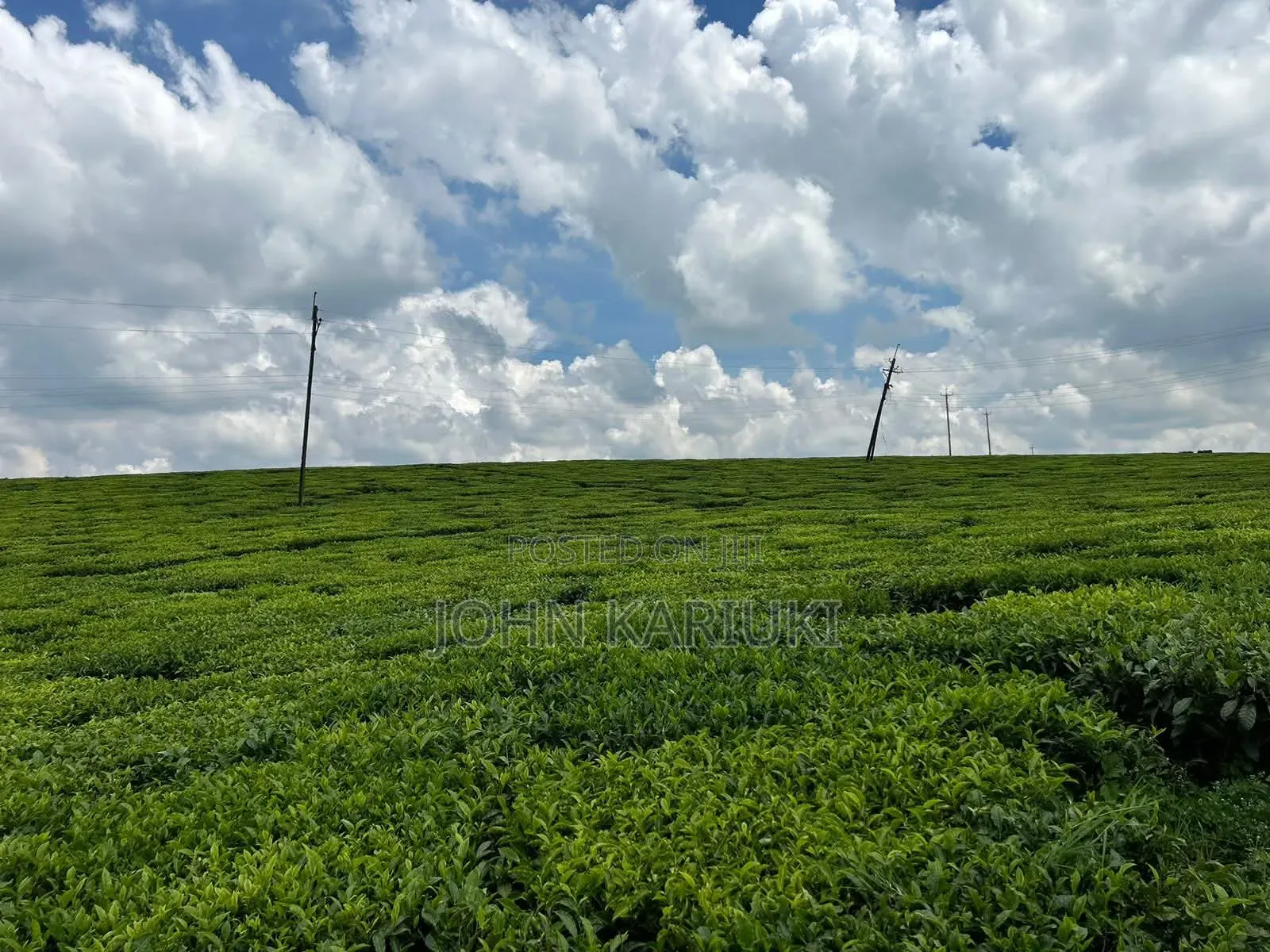64 Acres Touching Tarmac Ndumberi Limuru Rd at 20m Per Acre in Ndumberi