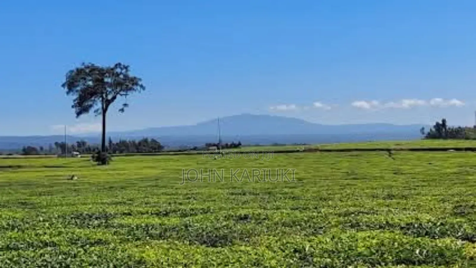 64 Acres Touching Tarmac Ndumberi Limuru Rd at 20m Per Acre in Ndumberi