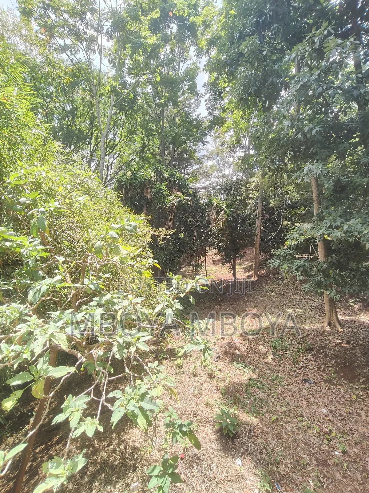 Prime Land for Sale and for J.V Along Peponi Road in Spring Valley