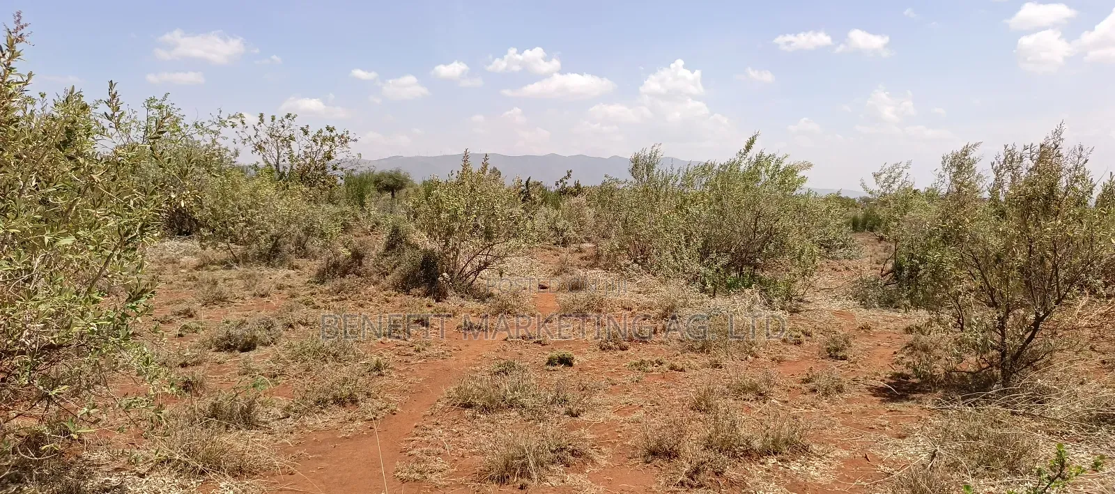 Quarter Acre Plot for Sale in Ngong Kimuka- Maroroi in Ngong