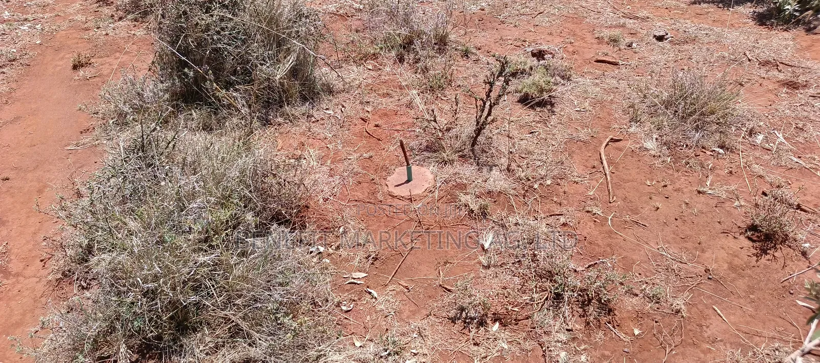 Quarter Acre Plot for Sale in Ngong Kimuka- Maroroi in Ngong