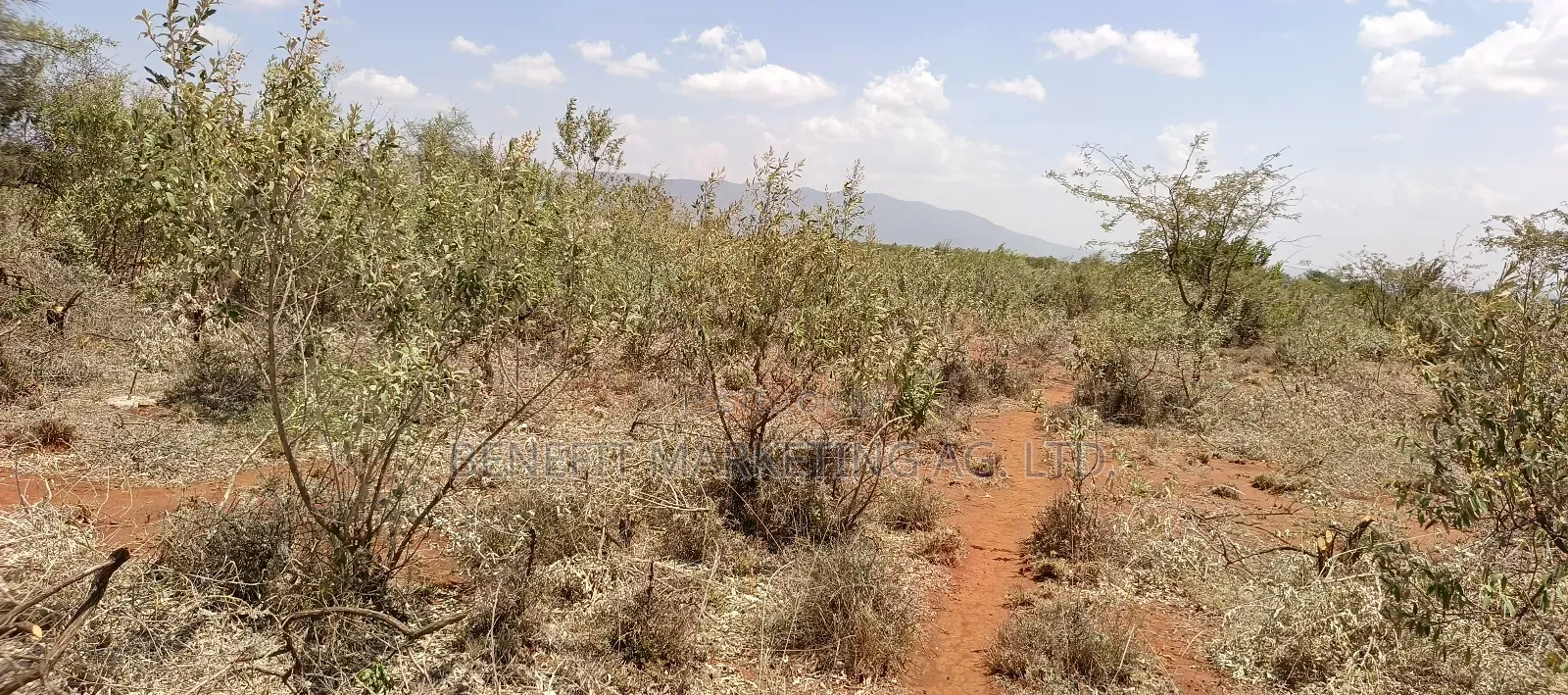 Quarter Acre Plot for Sale in Ngong Kimuka- Maroroi in Ngong