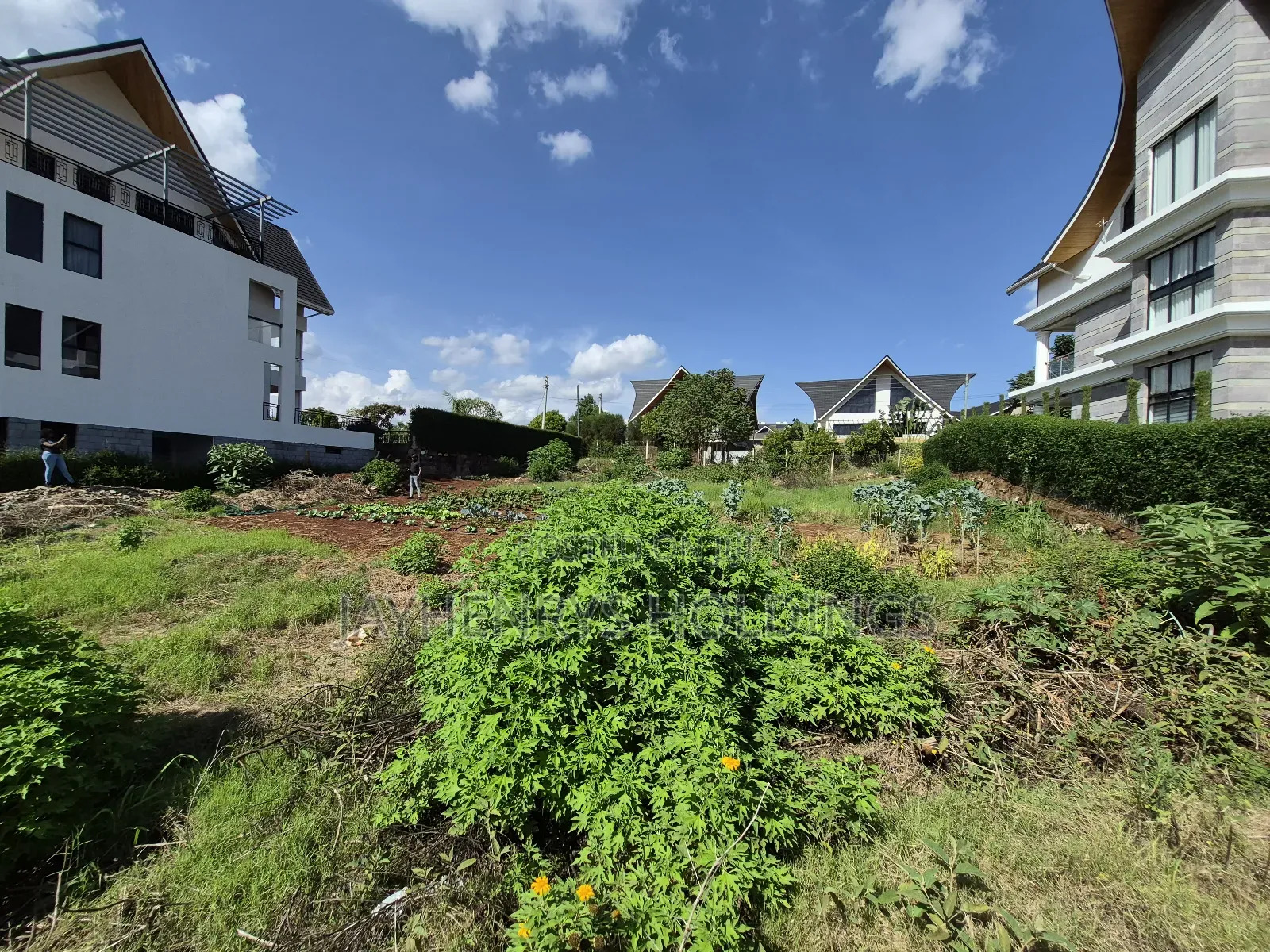 1/4 Acre Plot for Sale in Daykio Bustani Estate in Kwa Kairu