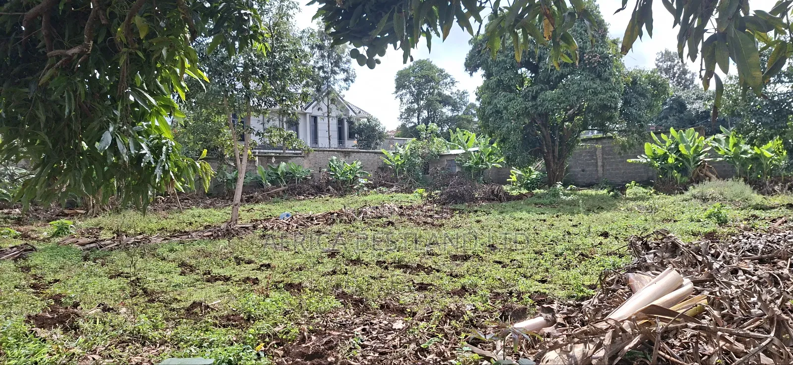 1/2 Acre for Sale Kabete Kanyariri in Wangige