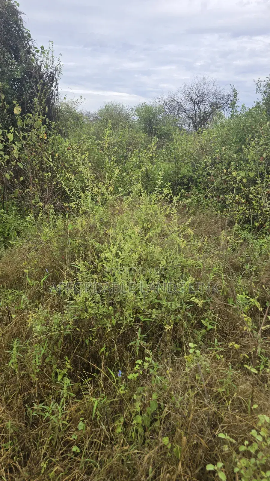 51acres Near the River Athi on Sale in Kikumbulyu North