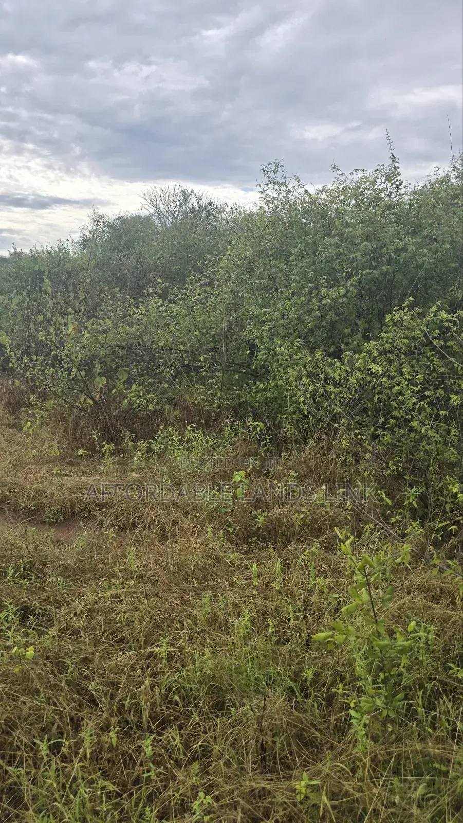 51acres Near the River Athi on Sale in Kikumbulyu North