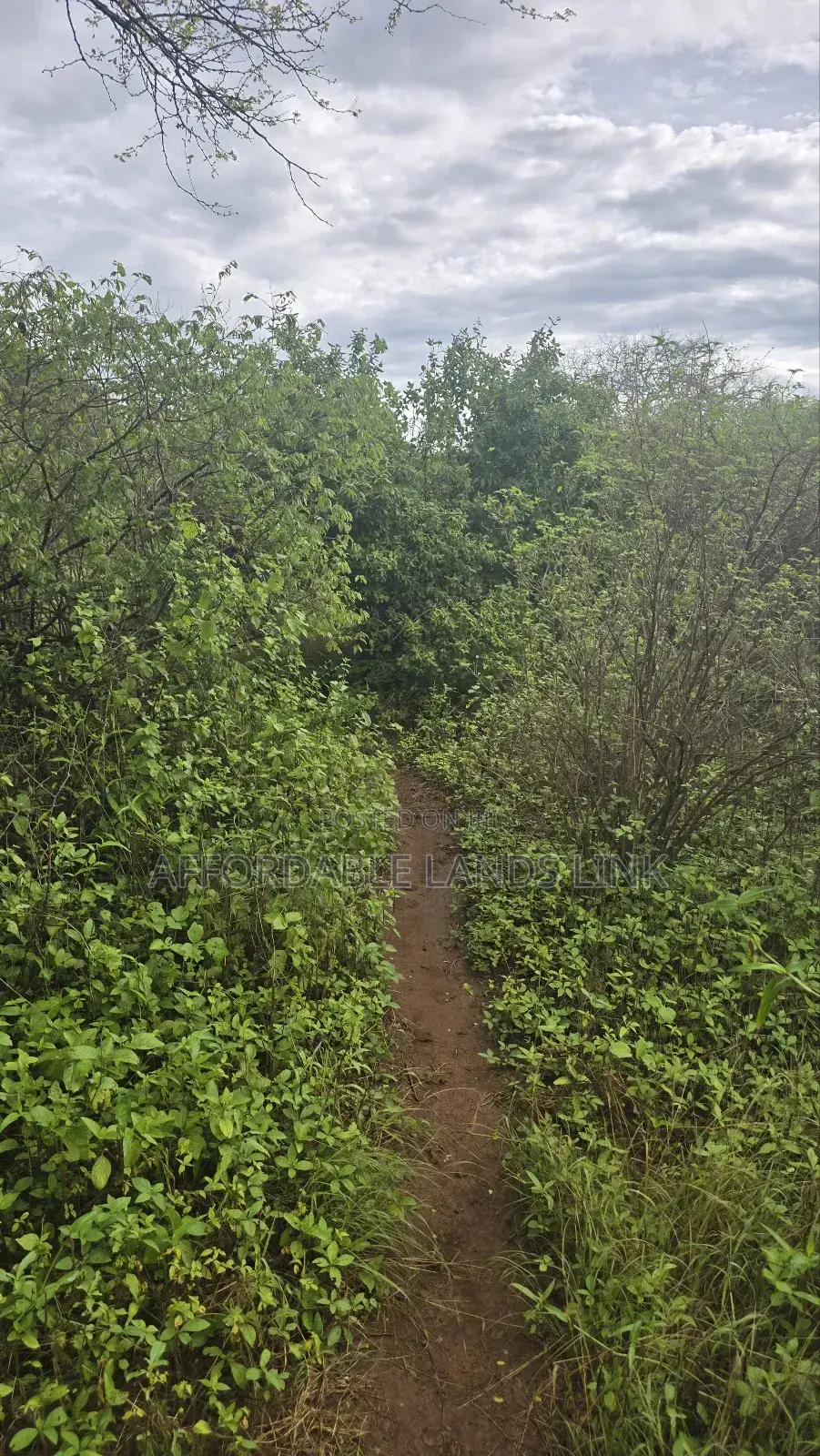 400acres on Sale at Kibwezi in Kikumbulyu North