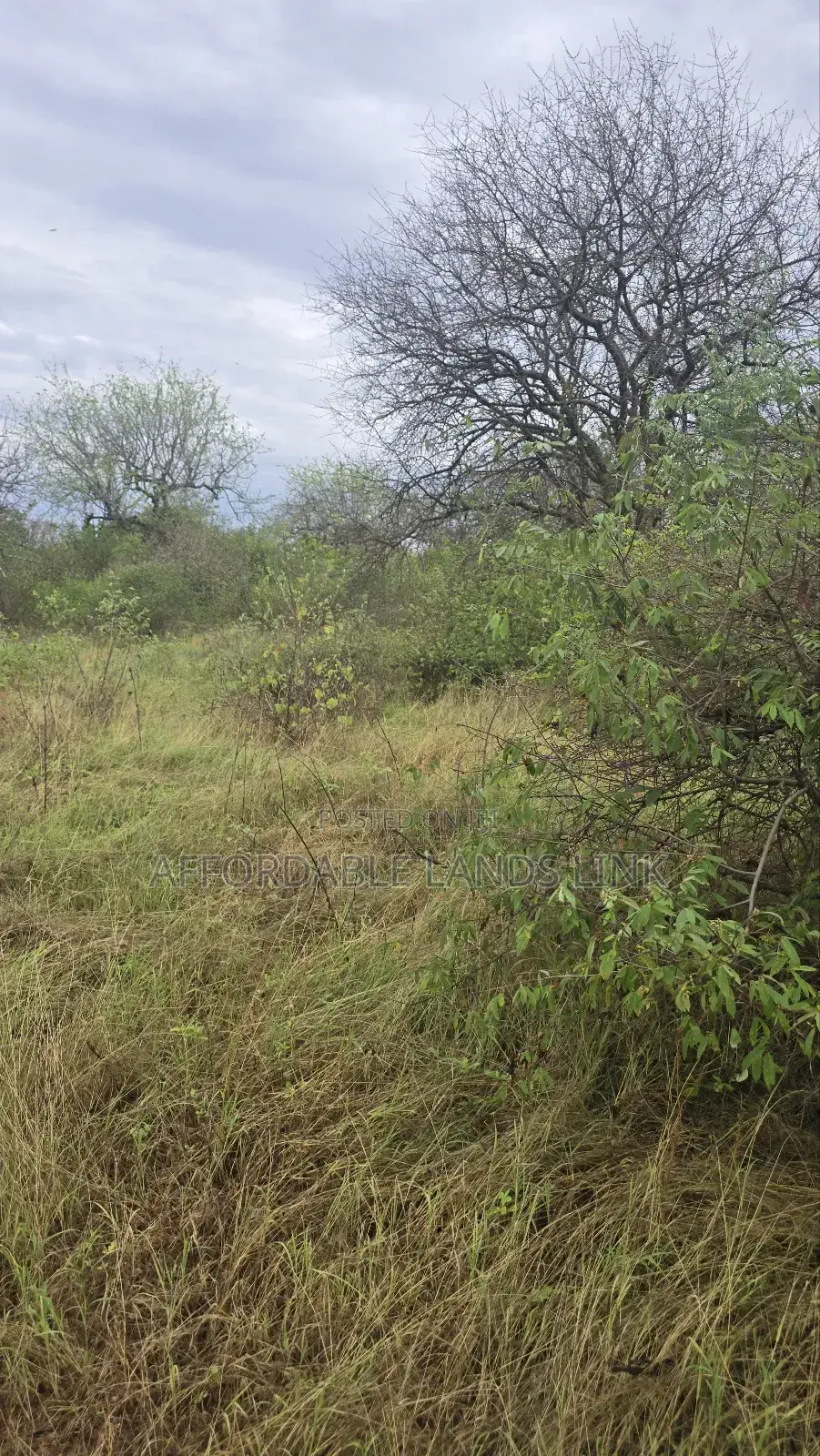 400acres on Sale at Kibwezi in Kikumbulyu North