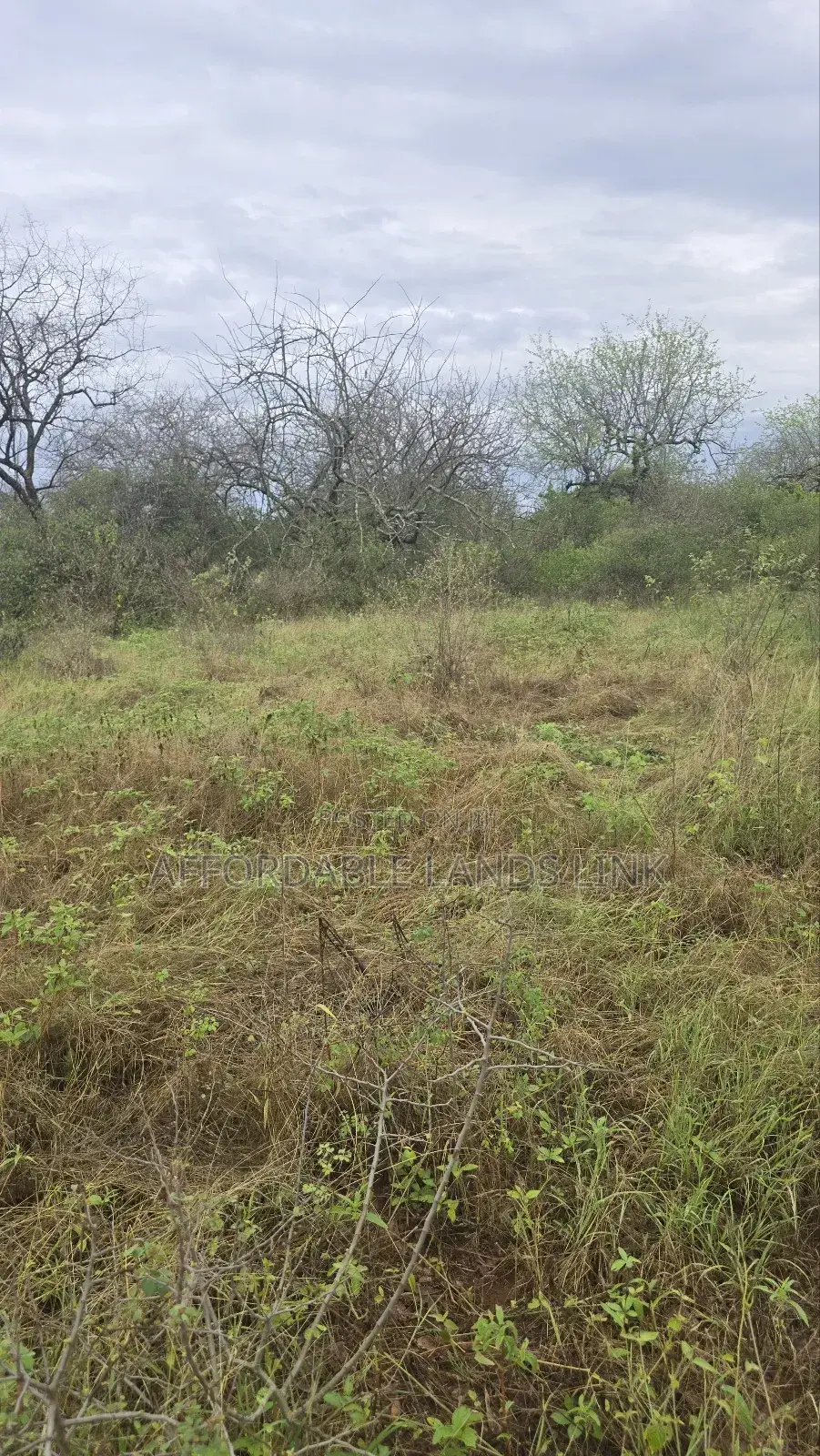 400acres on Sale at Kibwezi in Kikumbulyu North