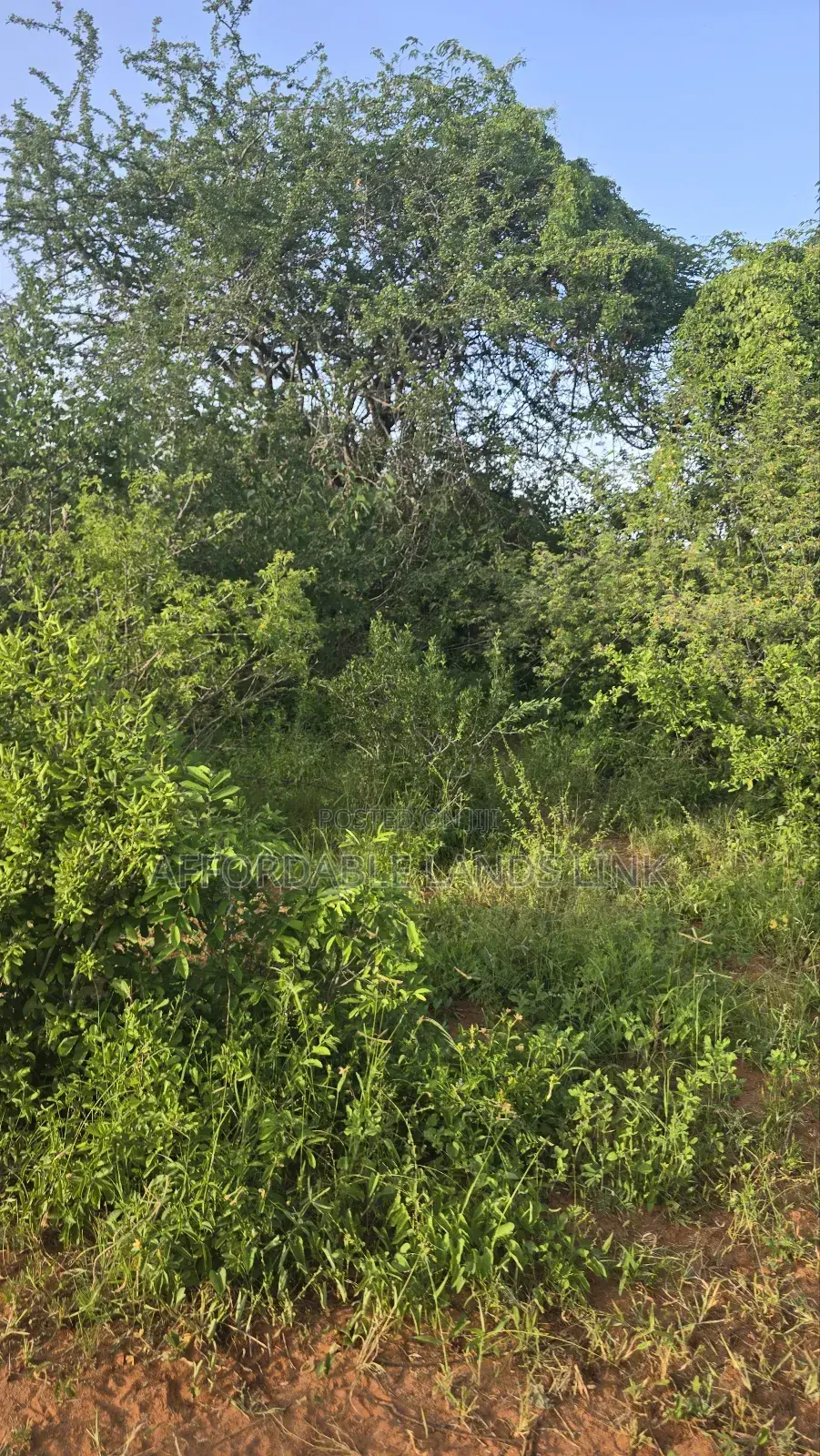 400acres on Sale at Kibwezi in Kikumbulyu North