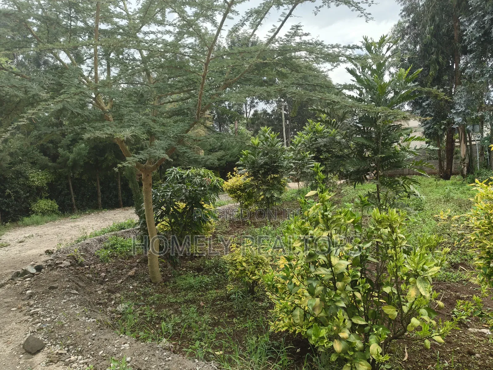 Strictly Residential Quarter Acre Plot for Sale in Kerarapon Drive in Kerarapon
