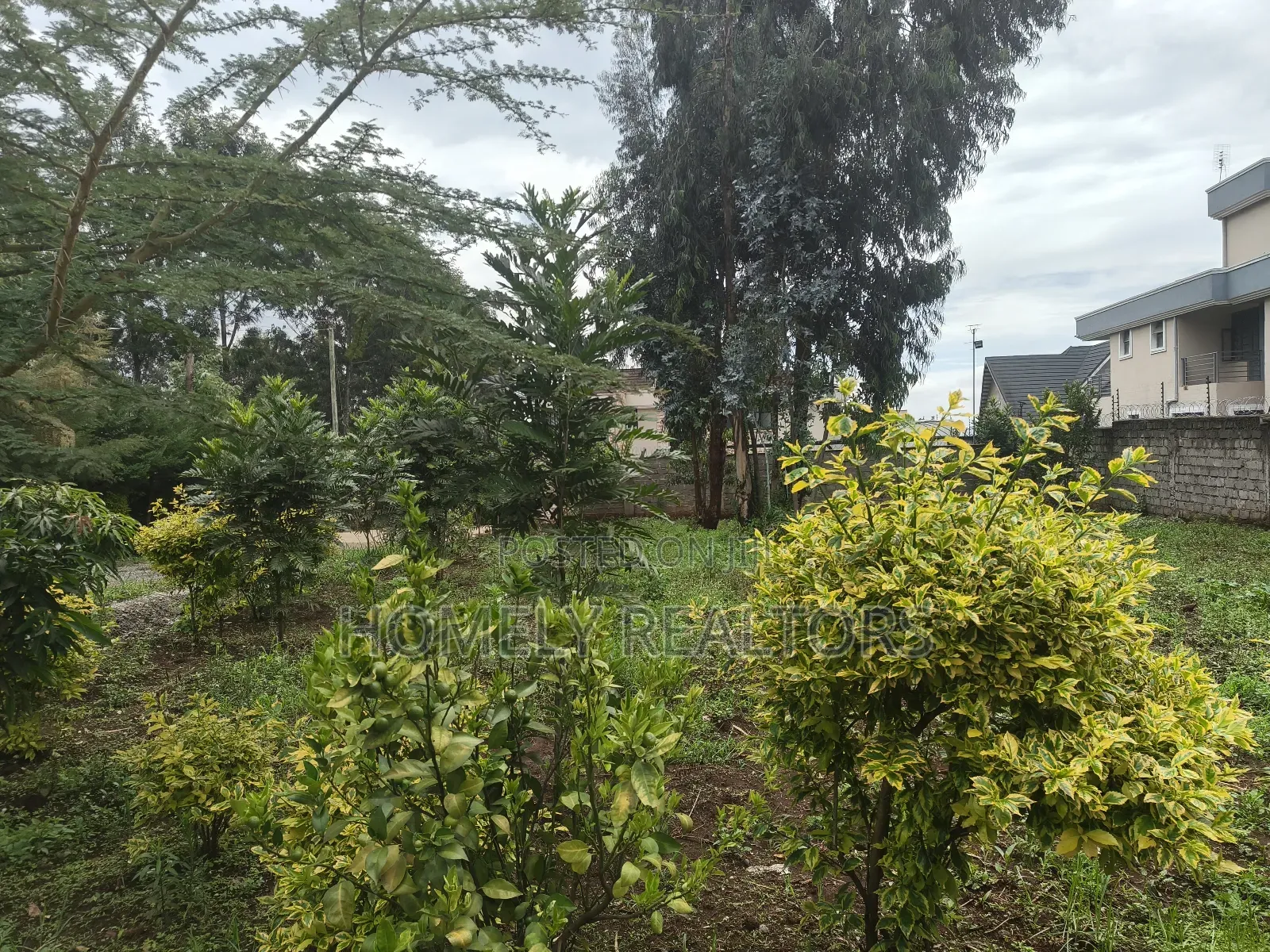 Strictly Residential Quarter Acre Plot for Sale in Kerarapon Drive in Kerarapon