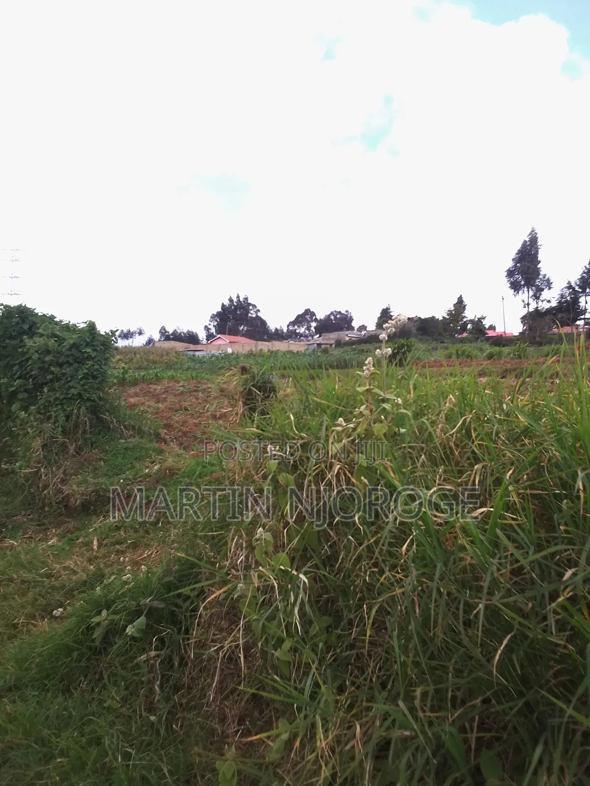 1⁄4 Acre Plot Juvenalis in Lari/Kirenga