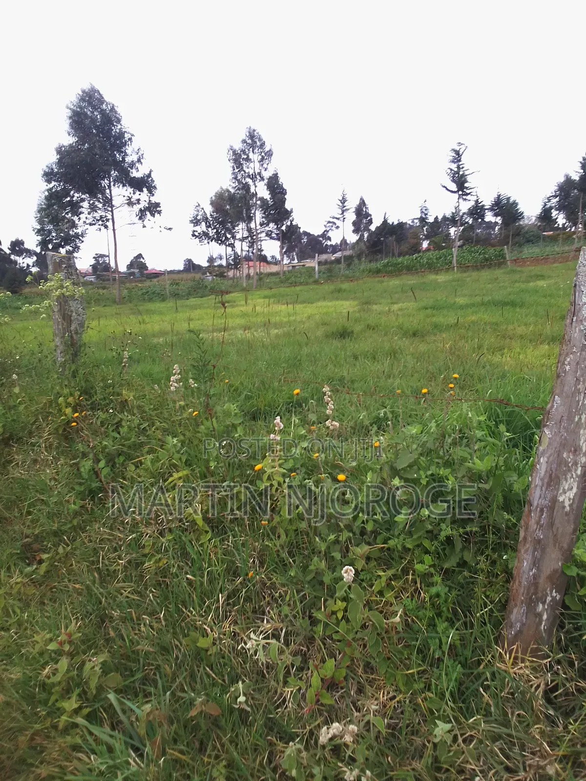 1⁄4 Acre Plot Juvenalis in Lari/Kirenga