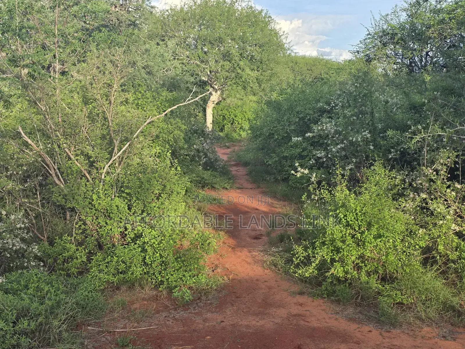 5acres Bush Land on Sale in Kikumbulyu North