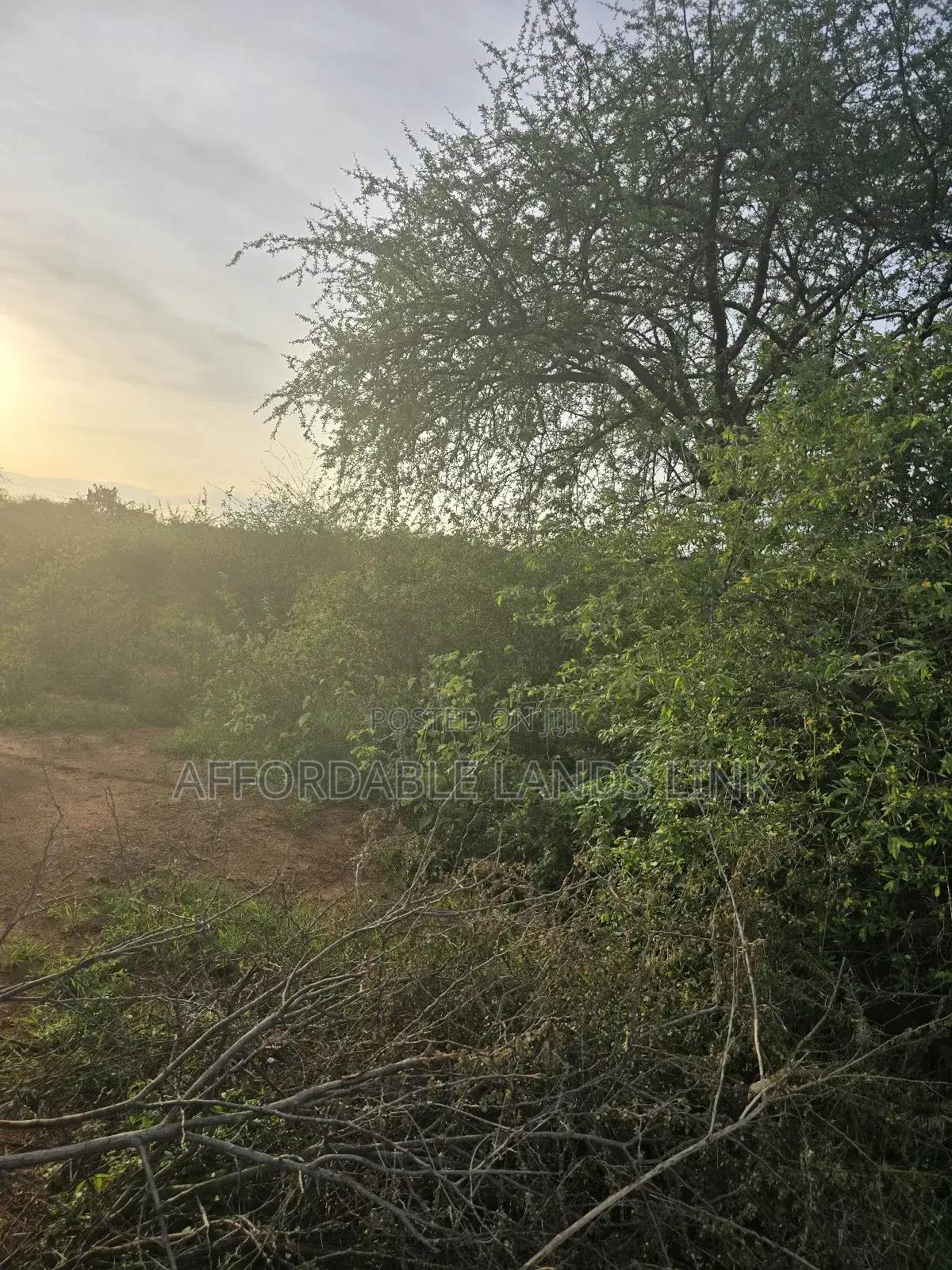 5acres Bush Land on Sale in Kikumbulyu North