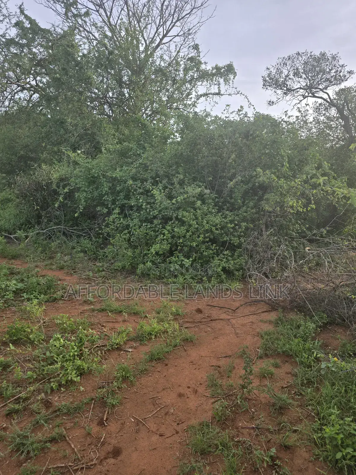 5acres Bush Land on Sale in Kikumbulyu North