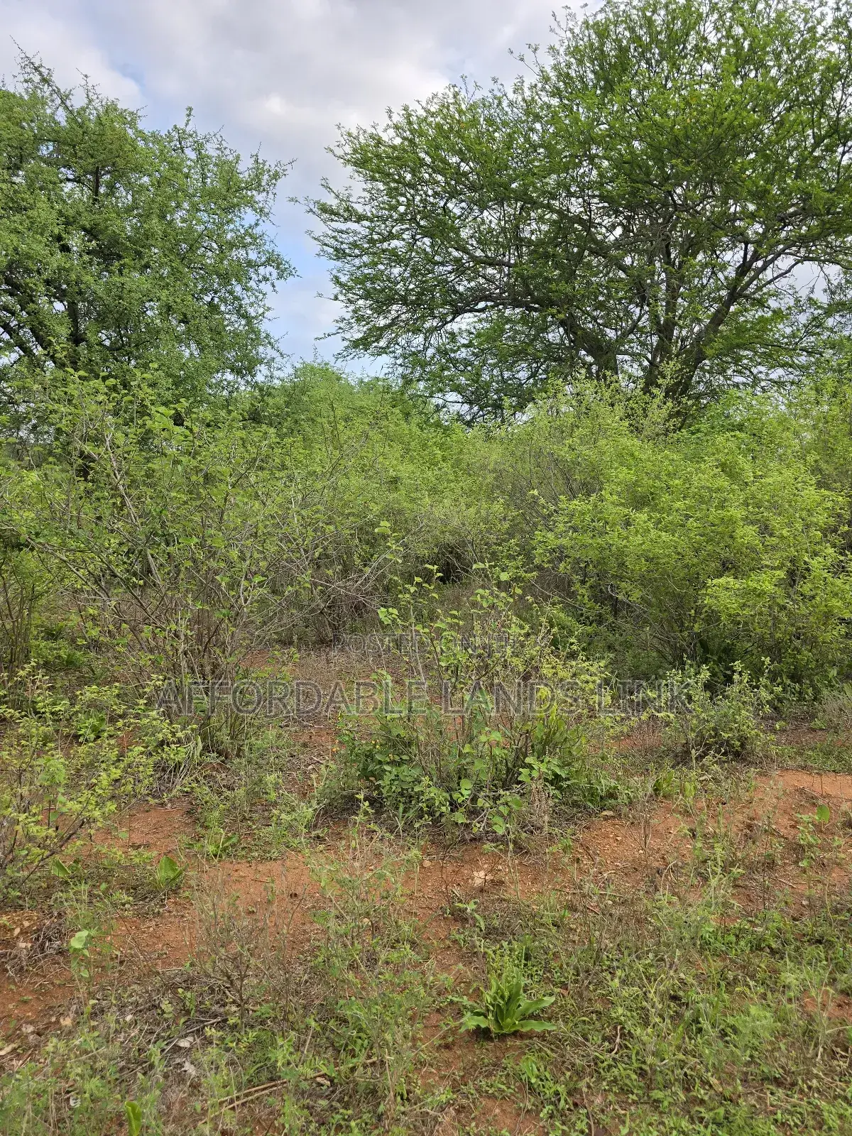 Land on Sale at Mtito in Kikumbulyu North