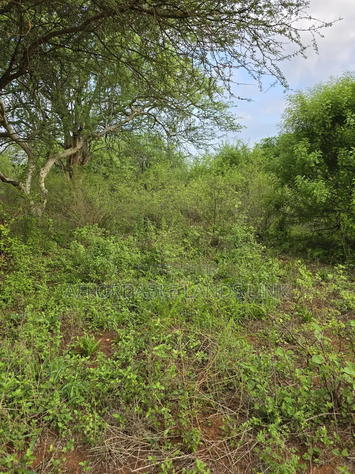 Land on Sale at Mtito in Kikumbulyu North