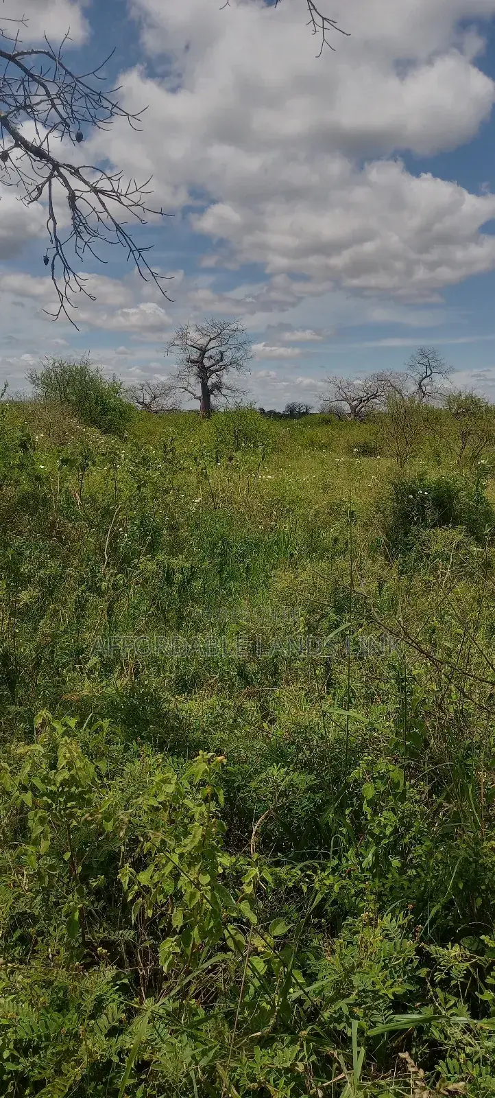300acres at Ikutha on Sale in Kikumbulyu North