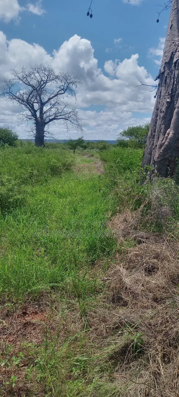 300acres at Ikutha on Sale in Kikumbulyu North
