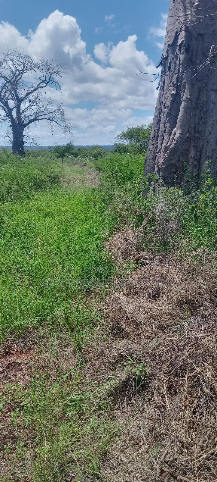 300acres at Ikutha on Sale in Kikumbulyu North