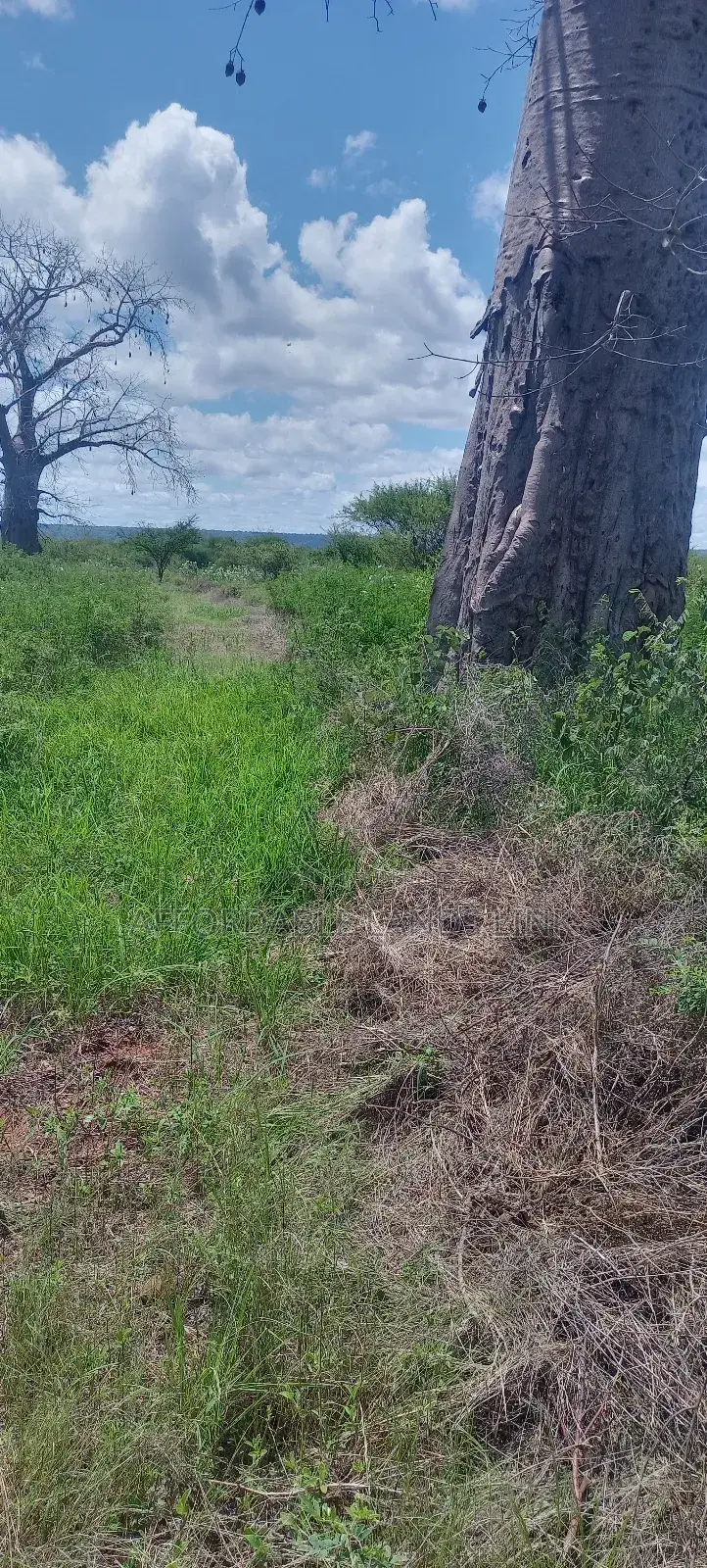 300acres at Ikutha on Sale in Kikumbulyu North