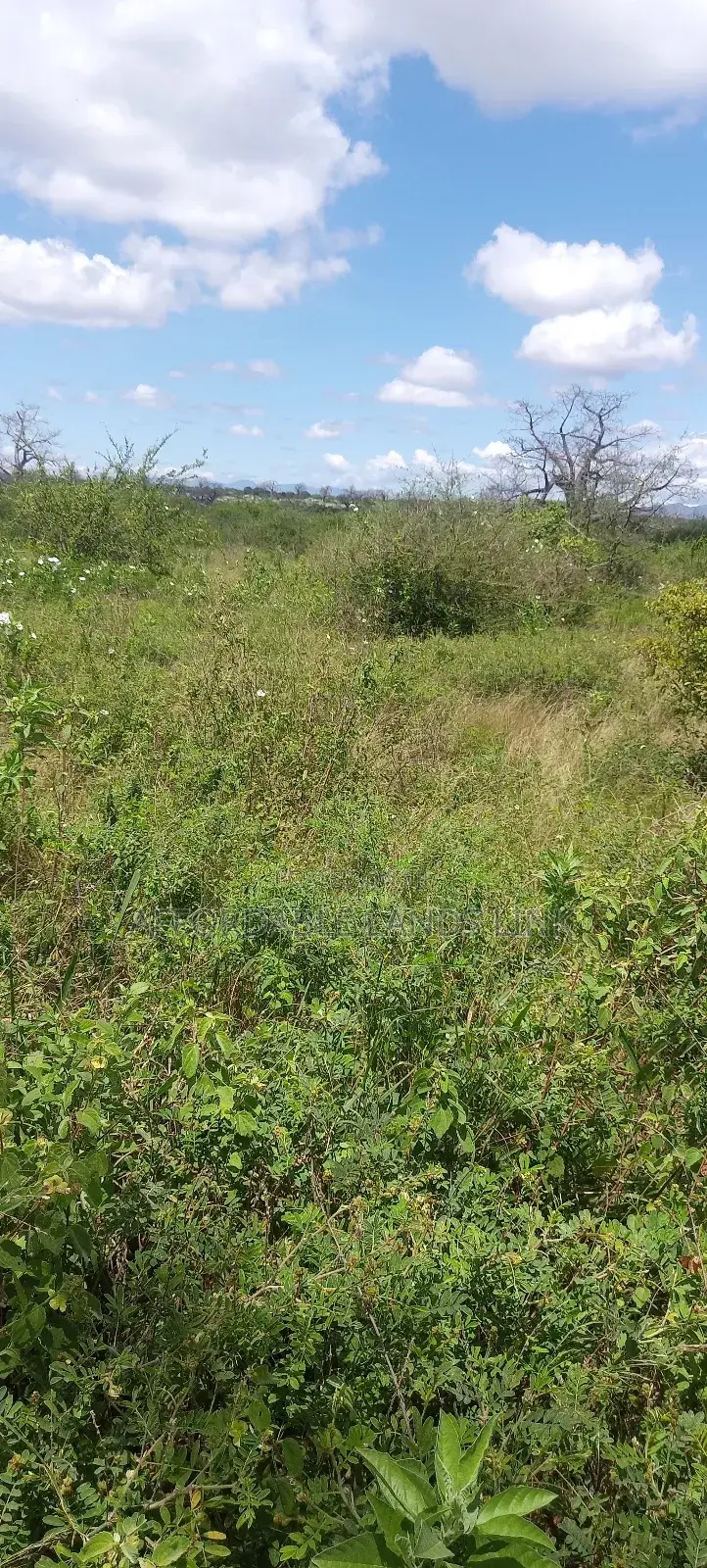 300acres at Ikutha on Sale in Kikumbulyu North